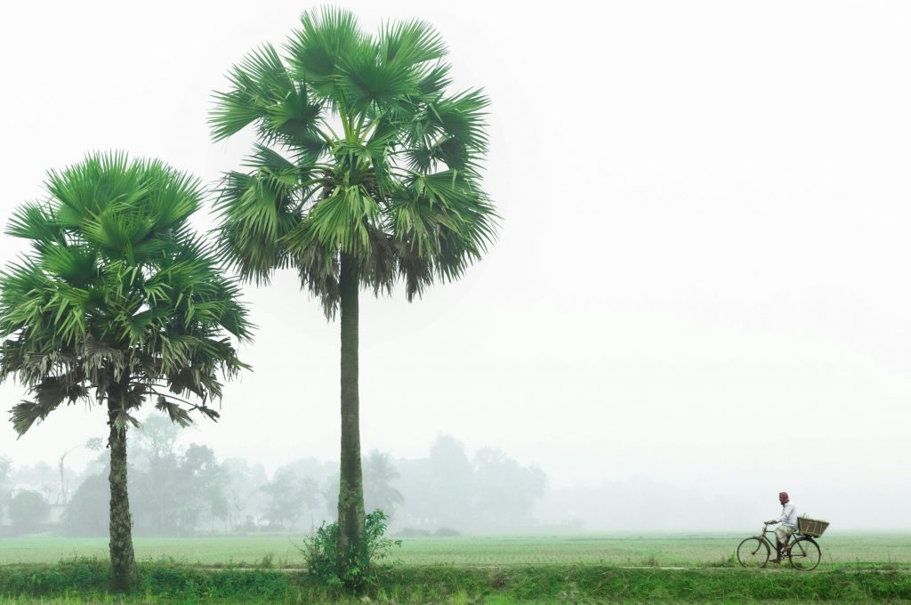 pexels-muhammad-saidul-islam-2149777728-30922300